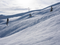 20180105_alpbach_landscape-21