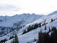 20180105_alpbach_landscape-31