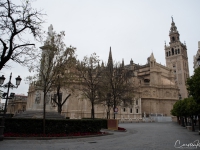 20190301_sevilla_catedraldesevilla-6