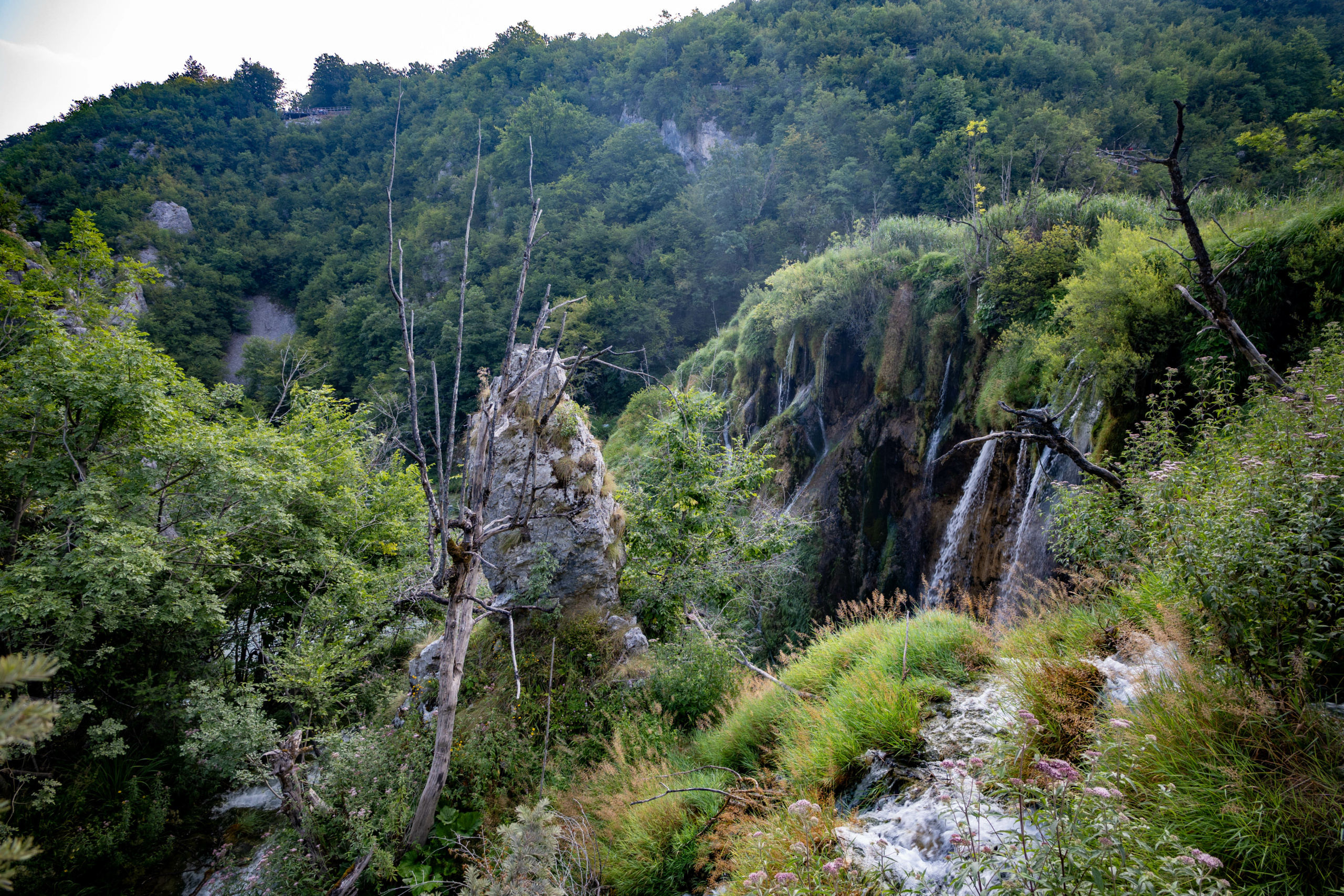 20240719_plitvice_12