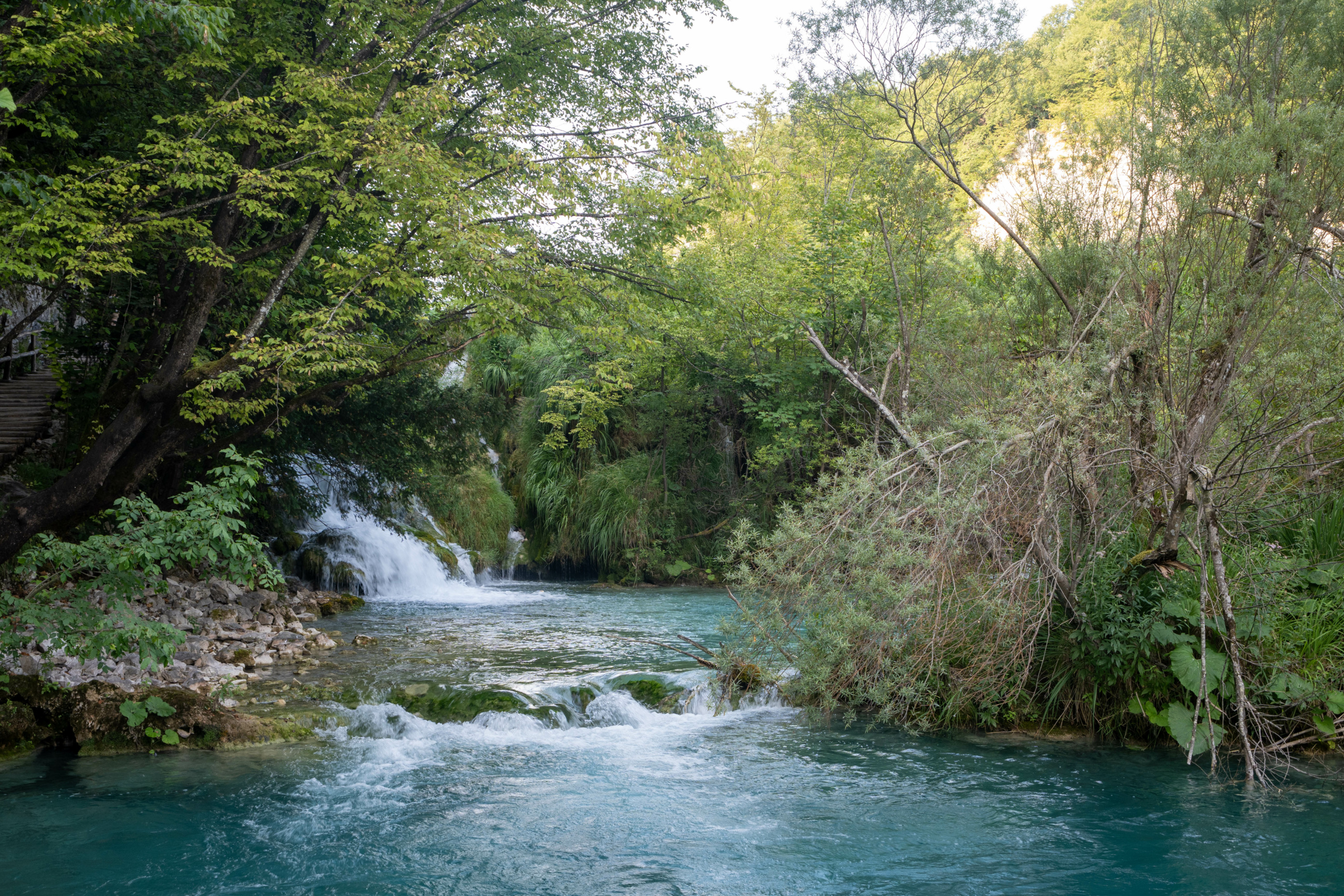 20240719_plitvice_21