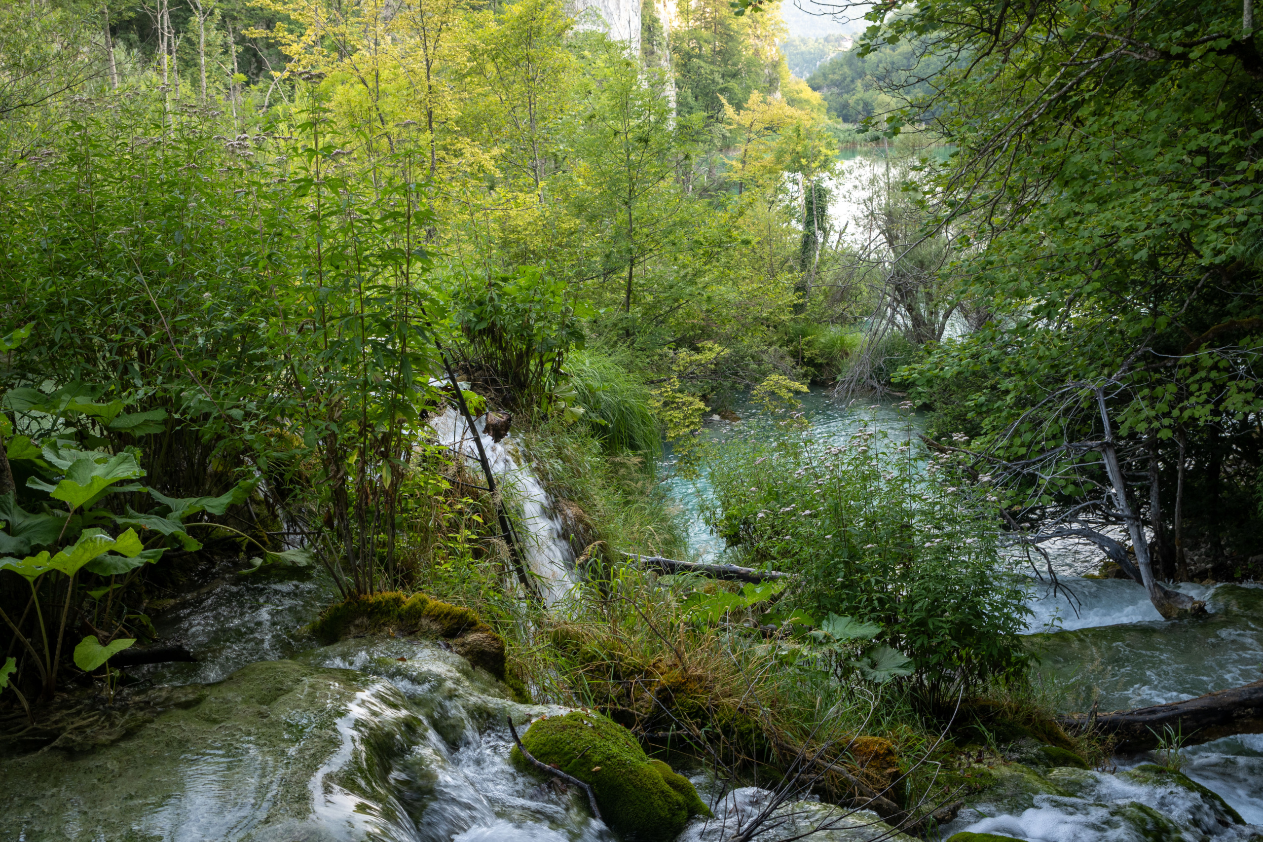 20240719_plitvice_22