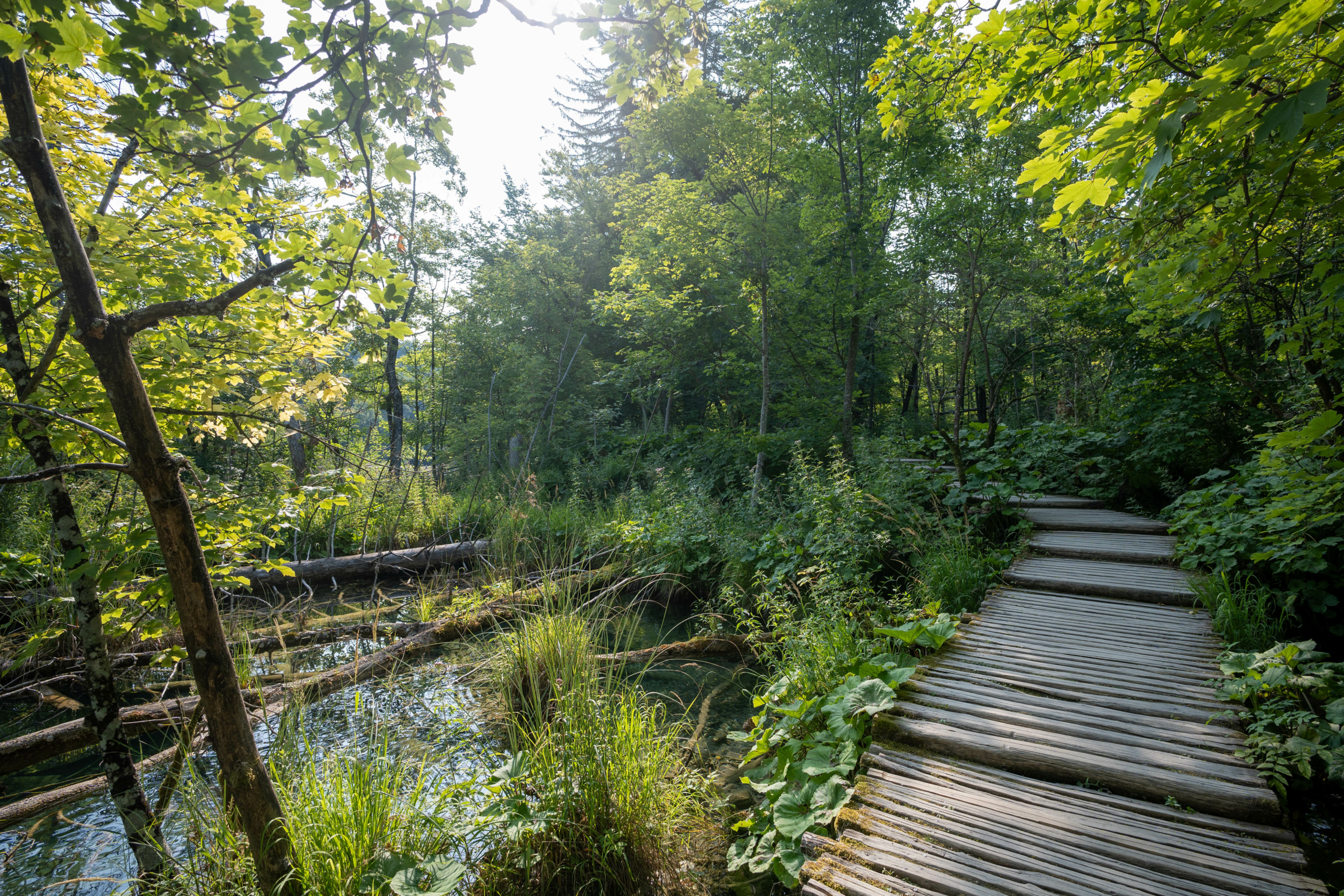 20240719_plitvice_34