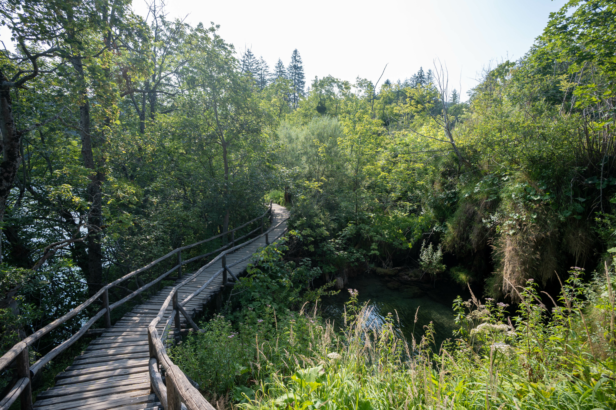 20240719_plitvice_35