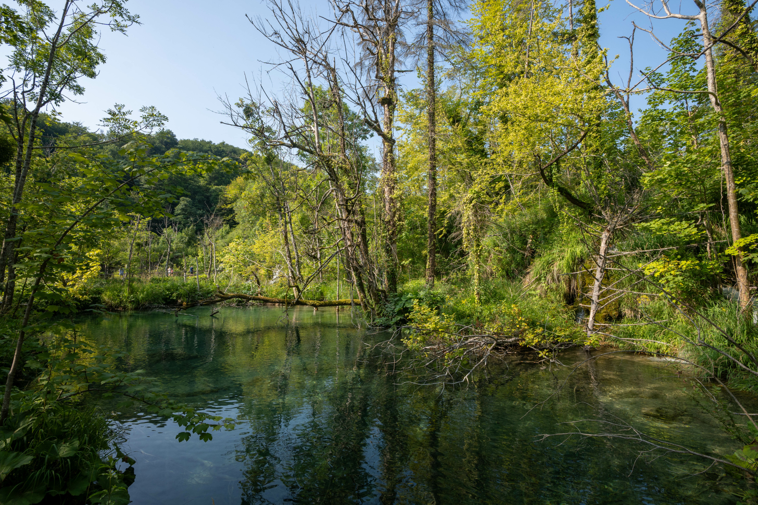 20240719_plitvice_45