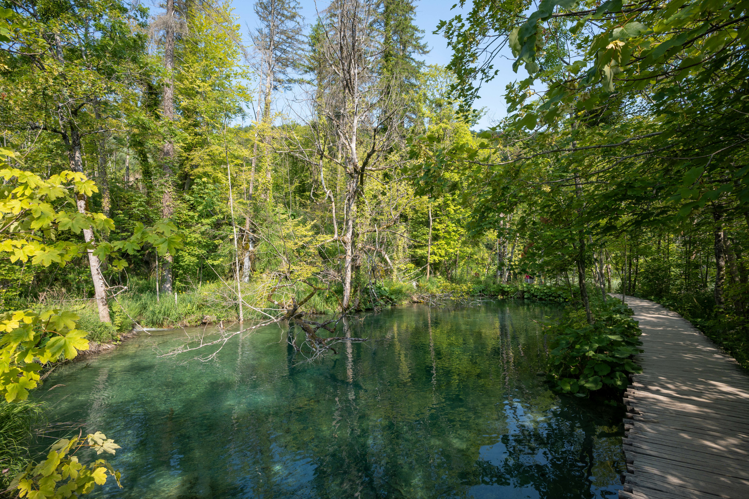 20240719_plitvice_46