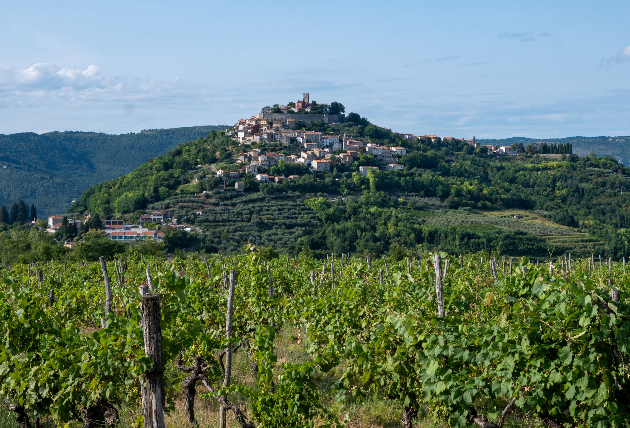 20240724_motovun_1