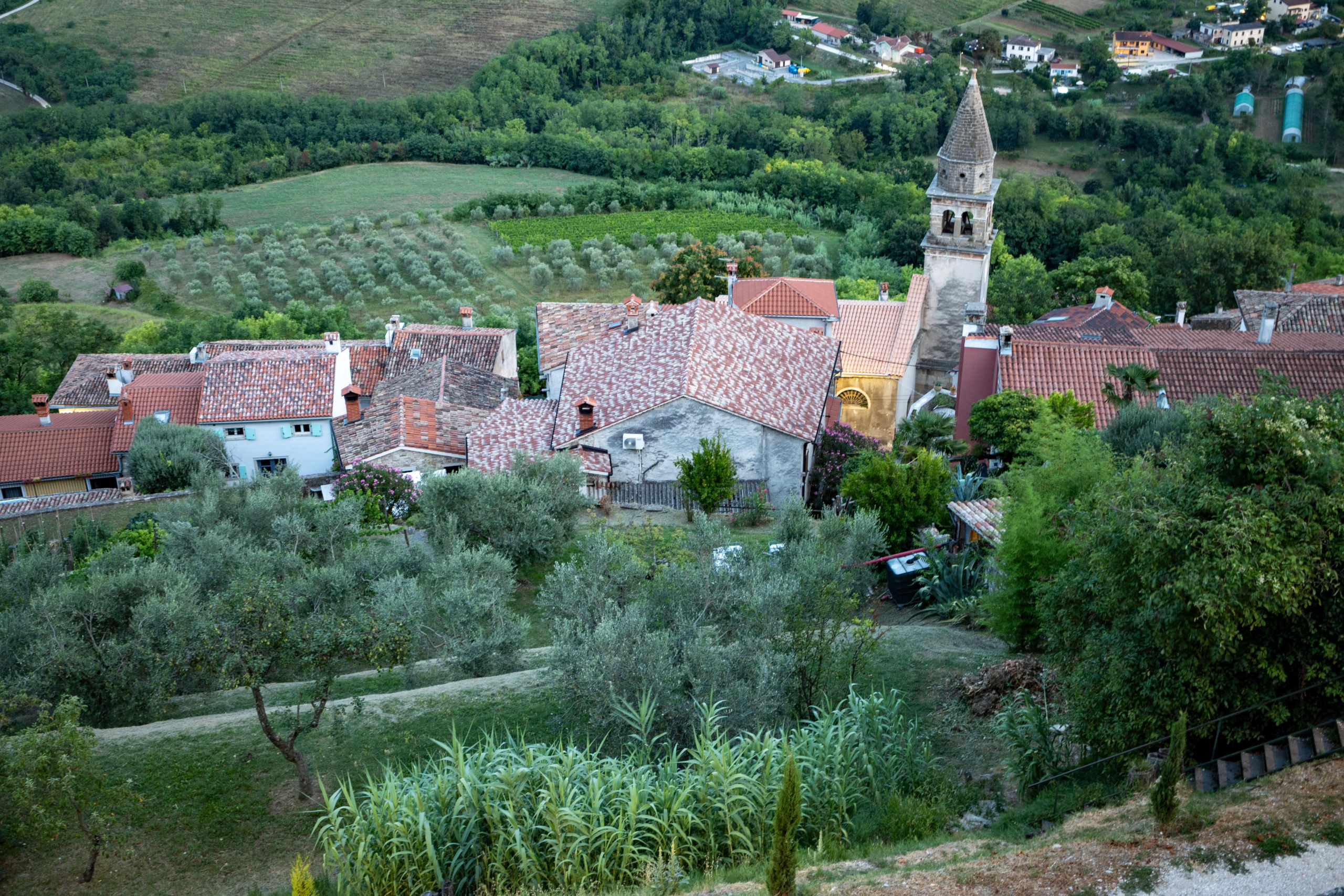 20240724_motovun_12