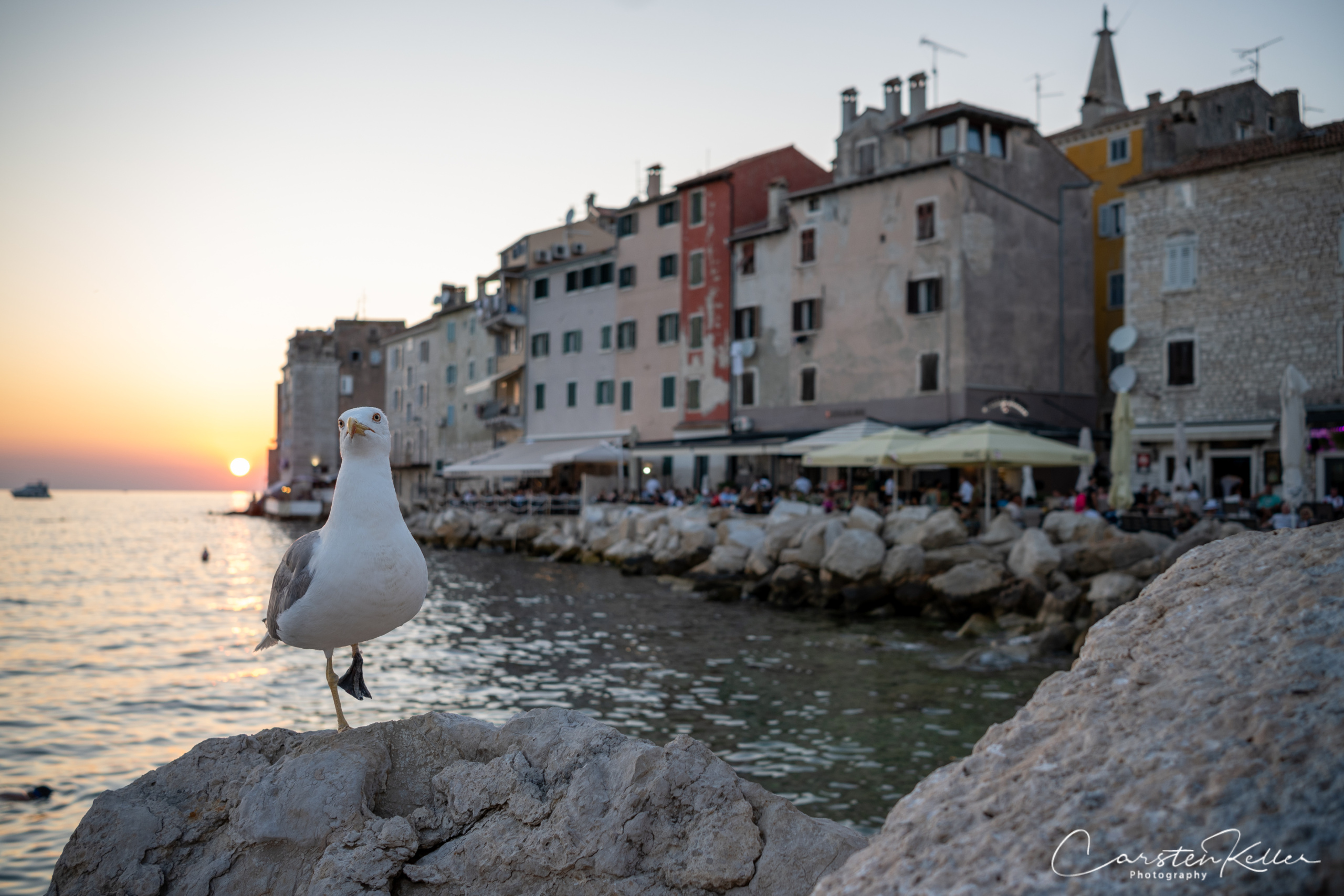 20240726_rovinj_19